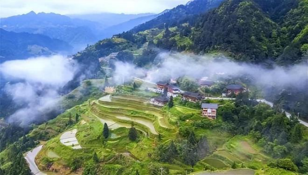 为何乡村振兴需要打造特色产业？这些村干部有话说 图4