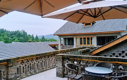 为何乡村振兴需要打造特色产业？这些村干部有话说 图8