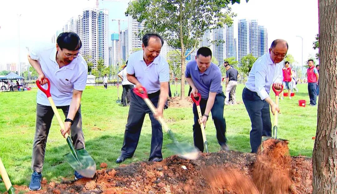 中山全市动员“我为中山种棵树”_迎接深中通道开通公益活动 图1
