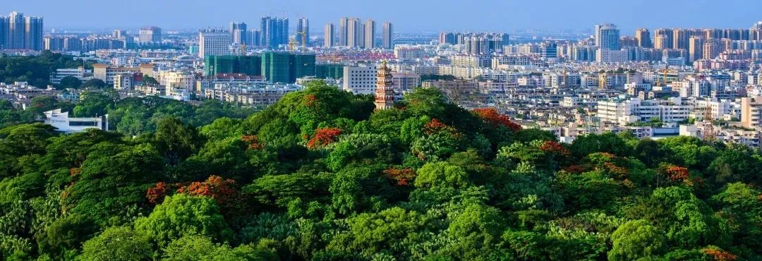 中山全市动员“我为中山种棵树”_迎接深中通道开通公益活动 图4