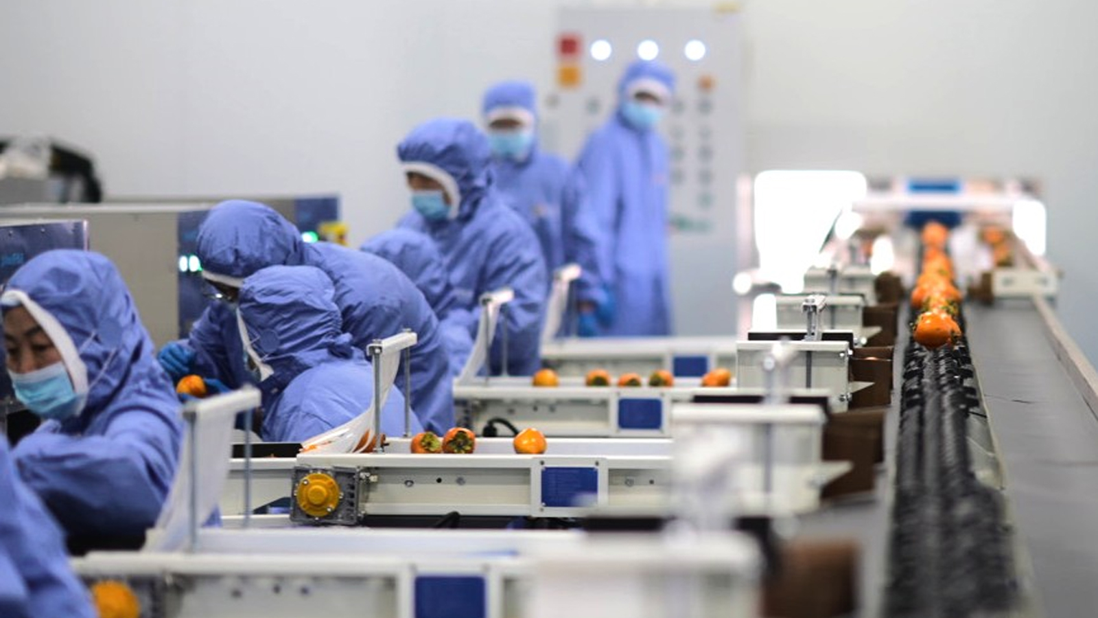 乡村全面振兴实践样本：从资源聚变到产业裂变 图4