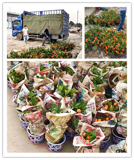 留粤过年怎么玩？箭牌家居携手百度营销要你好玩 图3