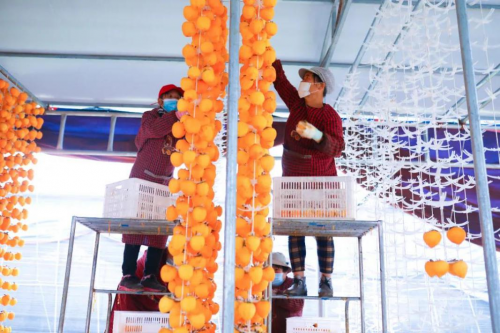 像做教育一样做扶贫_中国三星激活贫困村内在发展力 图4