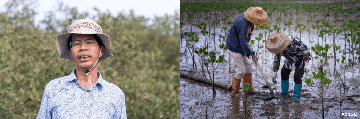 马爹利在中国启动红树林保护项目 图6