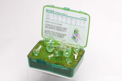 广州新晋网红打卡地——纽崔莱“一方植遇”艺术展开幕 图6