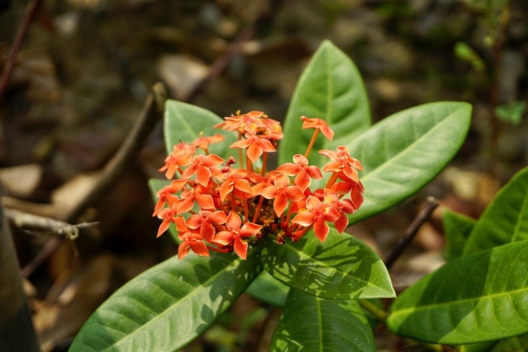 线上线下齐发力，绿色征程-2021索尼大学生环保营圆满收官 图12