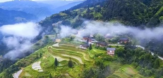 产业+人才_中国三星打造外企乡村振兴示范样板 图1